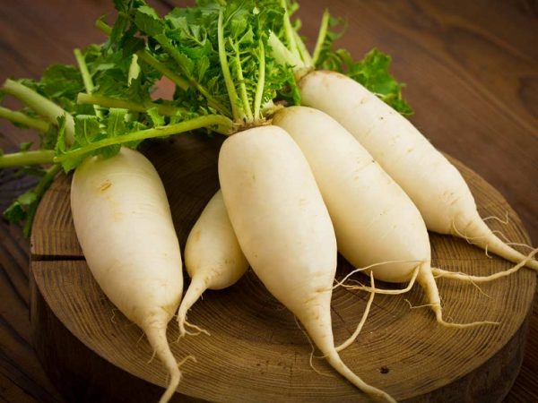 Ngủ mơ thấy củ cải đánh con đề gì chắc trúng nhất ?