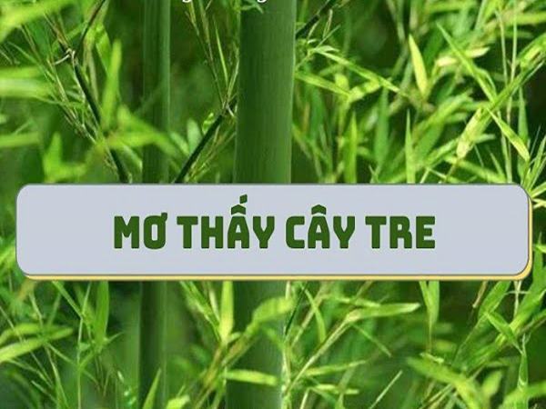 Mơ thấy cây tre điềm báo gì, đánh con gì trúng to?