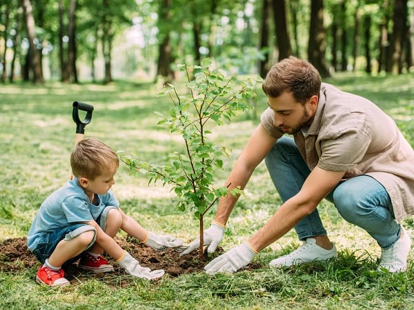 Mơ thấy trồng cây may hay xui đánh con gì phát tài phát lộc?