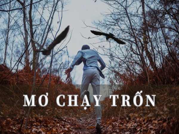 Nằm mơ thấy chạy trốn đánh con gì? Điềm báo tốt hay xấu?