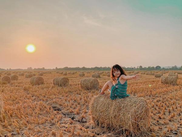 Đi đường trông thấy đống rơm là điềm gì, có may mắn không