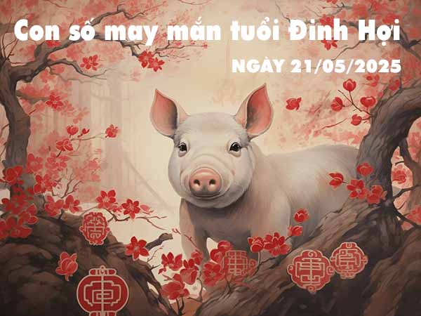 Con số may mắn tuổi Đinh Hợi ngày 21/5/2025 thứ 4 hôm nay