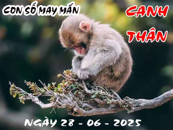 Con số may mắn tuổi Canh Thân ngày 28/6/2025 thứ 7 hôm nay