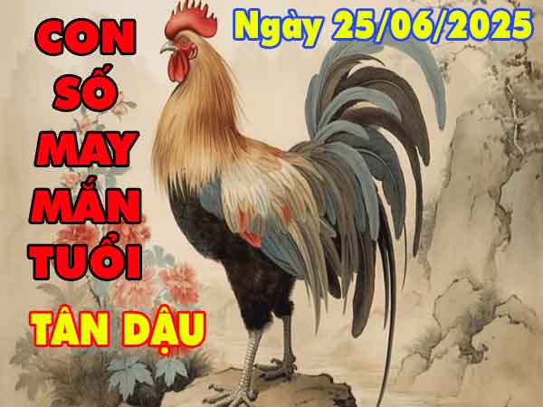Cặp số đẹp may mắn tuổi Tân Dậu ngày 25/6/2025 thứ 4 hôm nay