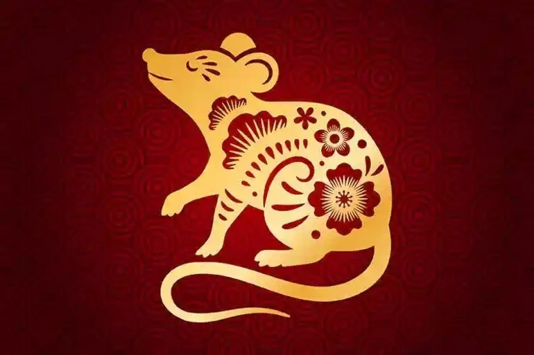 con số may mắn tuổi Tý 20/6/2025