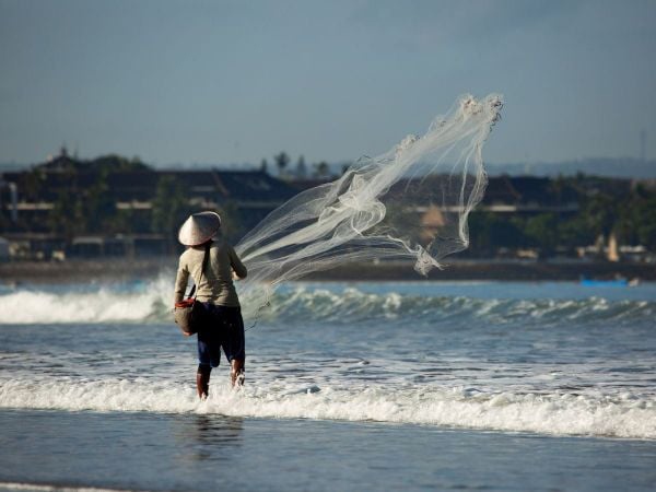 Nằm mơ thấy bắt cua đồng là điềm gì, con gì số mấy?