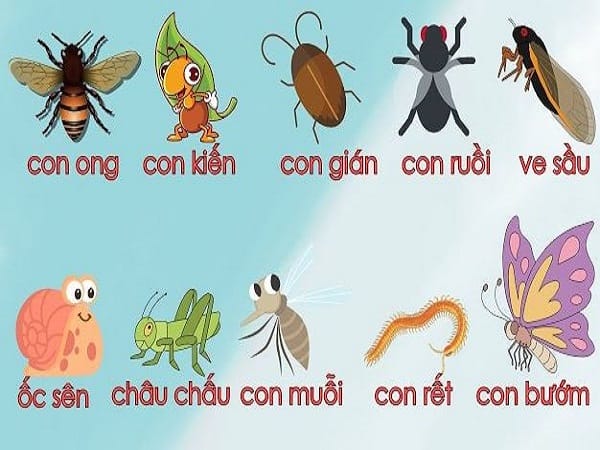 Giải mã ý nghĩa côn trùng số mấy và cách quy đổi con số